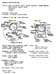 BIO 105 - UW-La Crosse - General Biology - Studocu