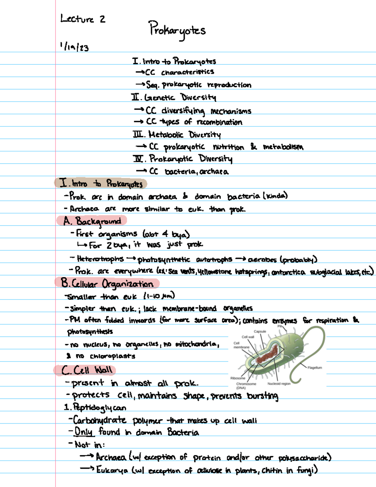 Prokaryotes Lecture 2 Prokaryotes 1 19 23 I Intro toProkaryotes CC