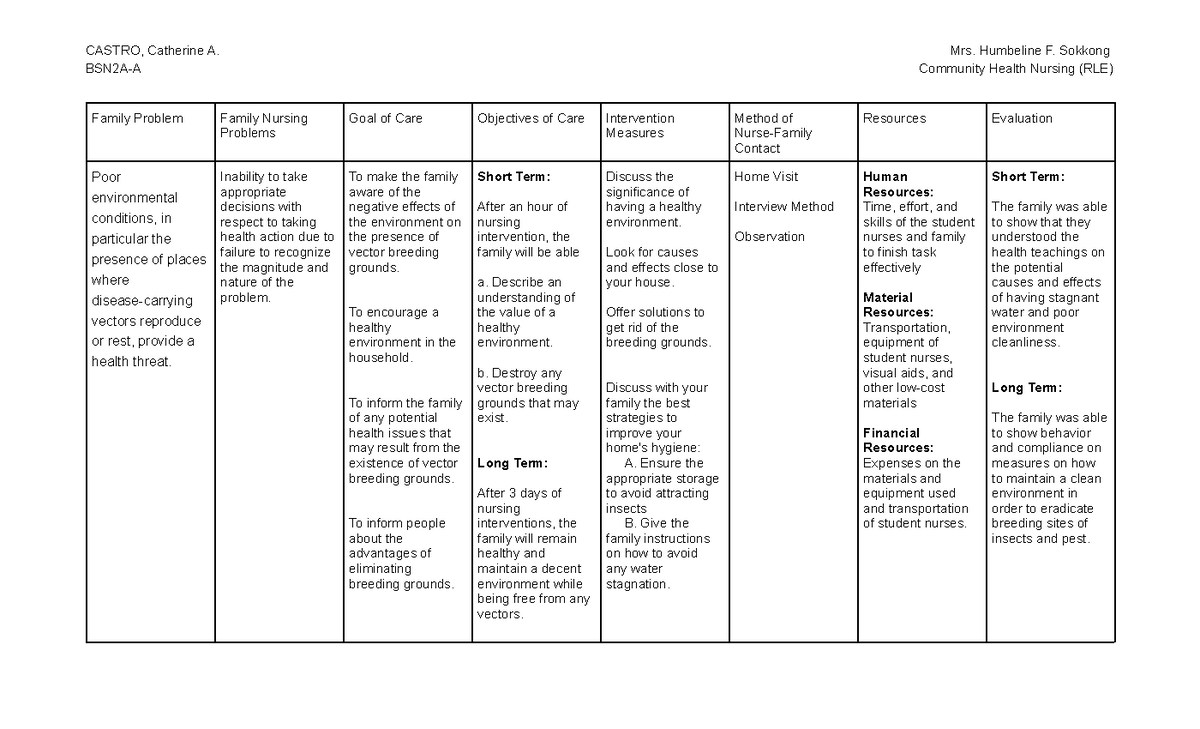 Family Nursing Care Plan - CASTRO, Catherine A. Mrs. Humbeline F ...