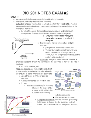 Bio 201 Notes - BIO 201 - Studocu