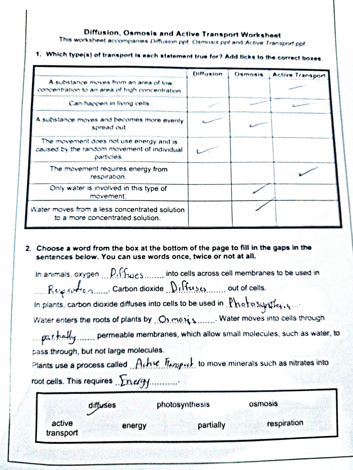 DOC 20221012 WA0002 Diffusion Osmosis And Active Transport Worksheet 