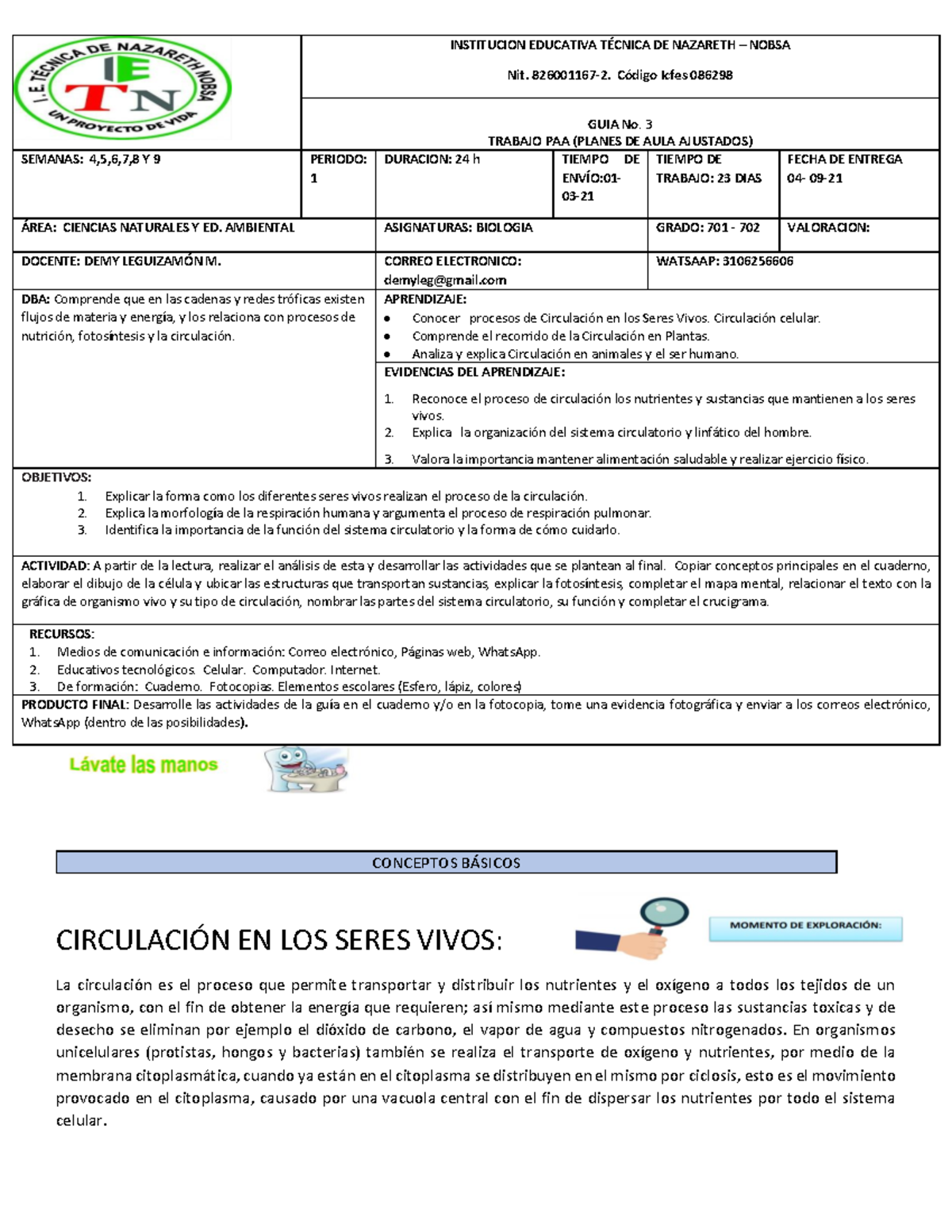 Guia Circulacion En Seres Vivos Ciencias Naturales Yeffer Blandon Circulaci N En Los Seres