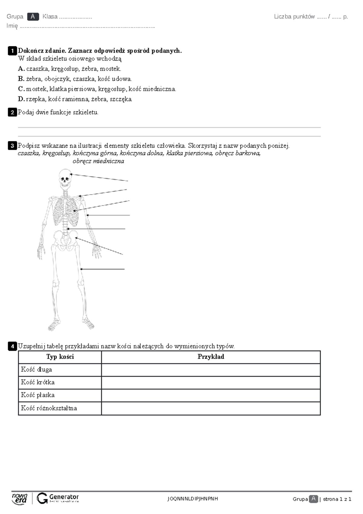 Aparat ruchu. Budowa szkieletu. kartkówka Test (bez widocznej punktacji ...