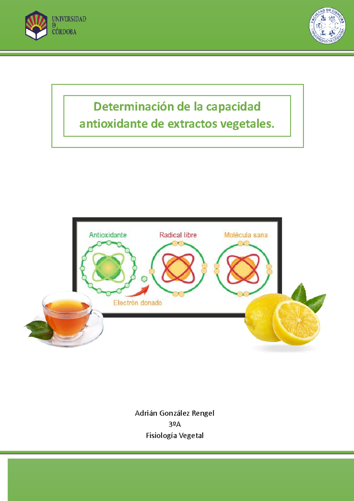 Determinaci N De La Capacidad Antioxidante De Extractos Vegetales