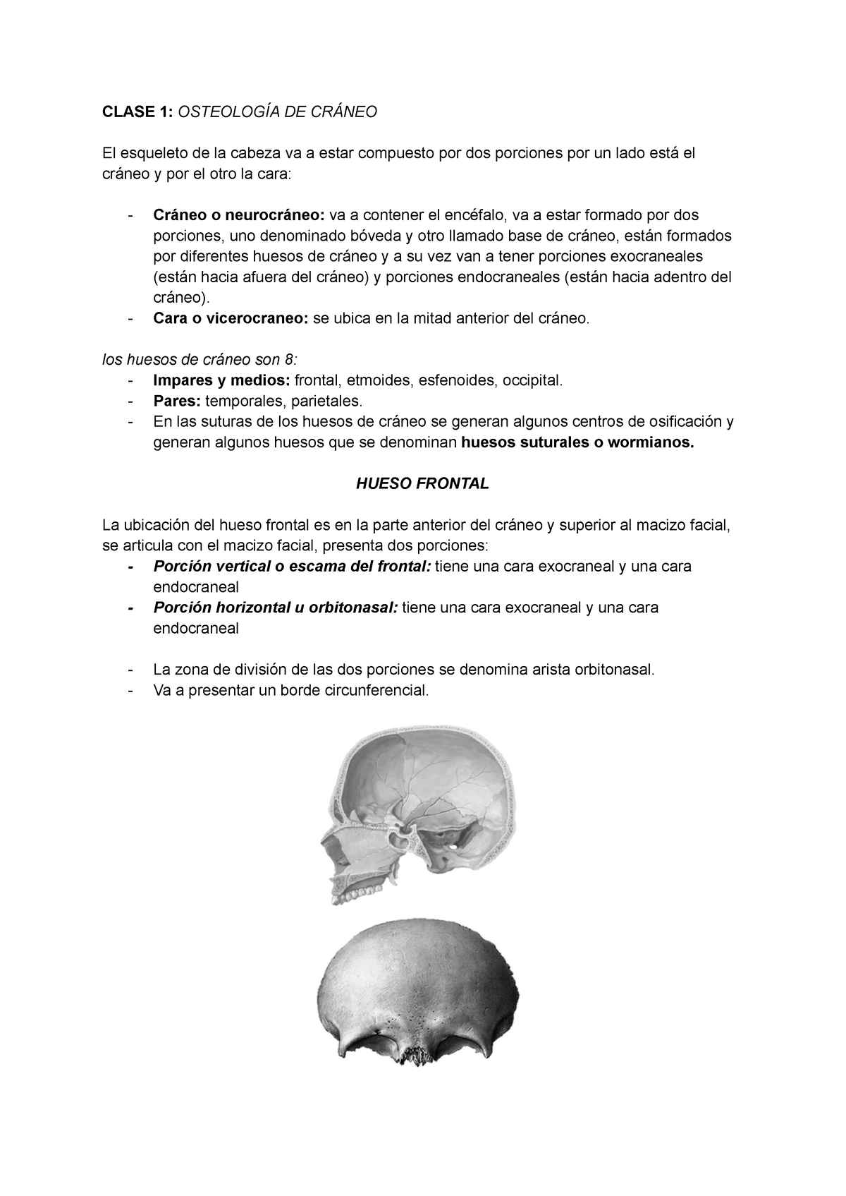 Resumen Anato 230828 130302 Clase 1 OsteologÍa De CrÁneo El Esqueleto De La Cabeza Va A Estar 1278