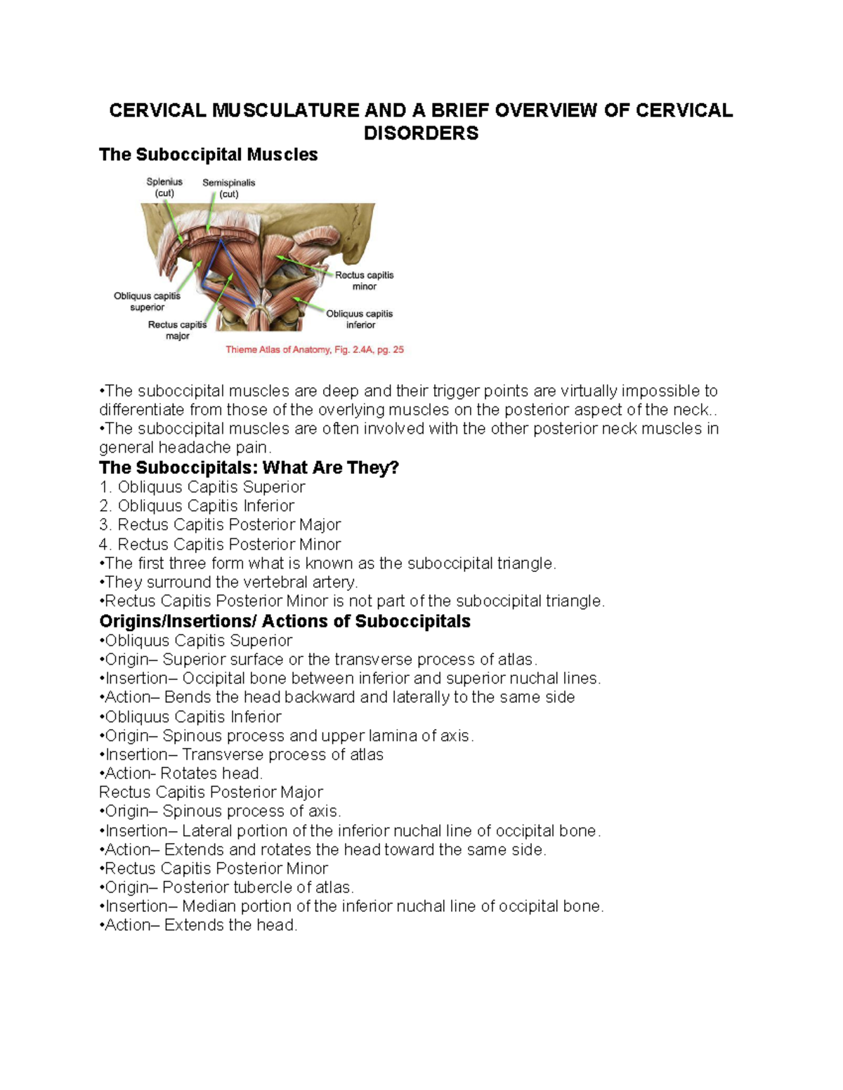 Western 2 lecture 14 - Cervical Musculature and a Brief Overview of ...