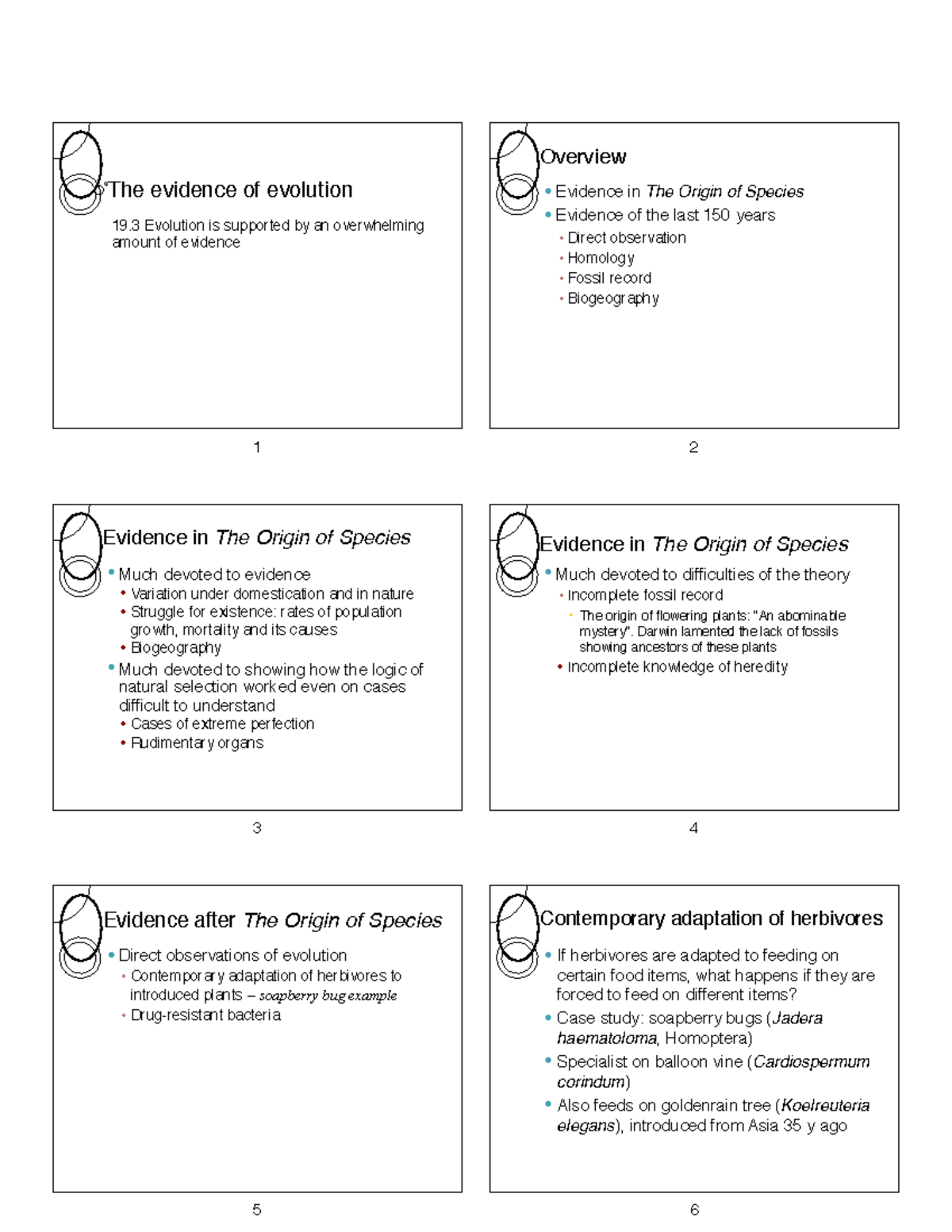 T1 3 Evidence of evolution - Overview The evidence of evolution 19 ...