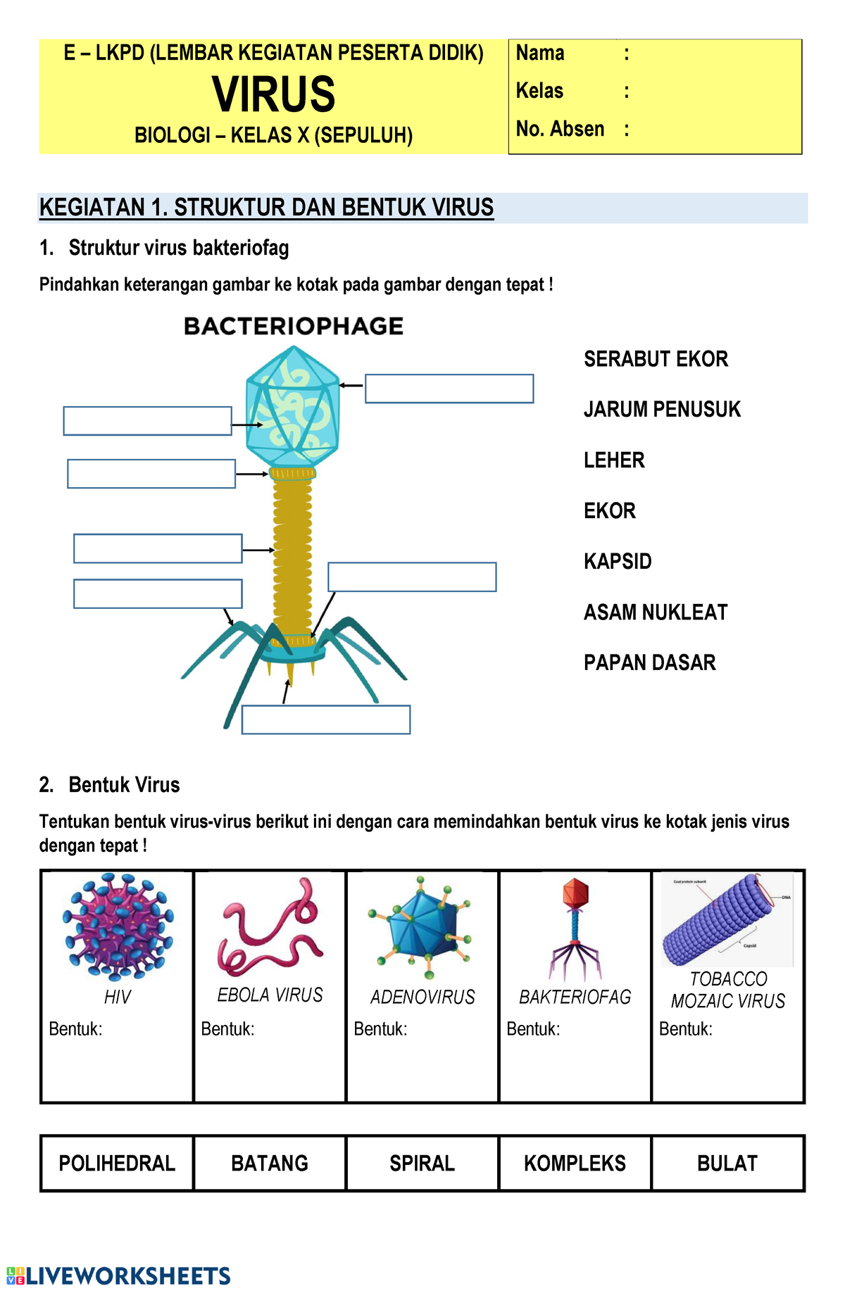 Virus Lkpd 1 E Lkpd Lembar Kegiatan Peserta Didik Virus Biologi Kelas X Sepuluh Nama 6447