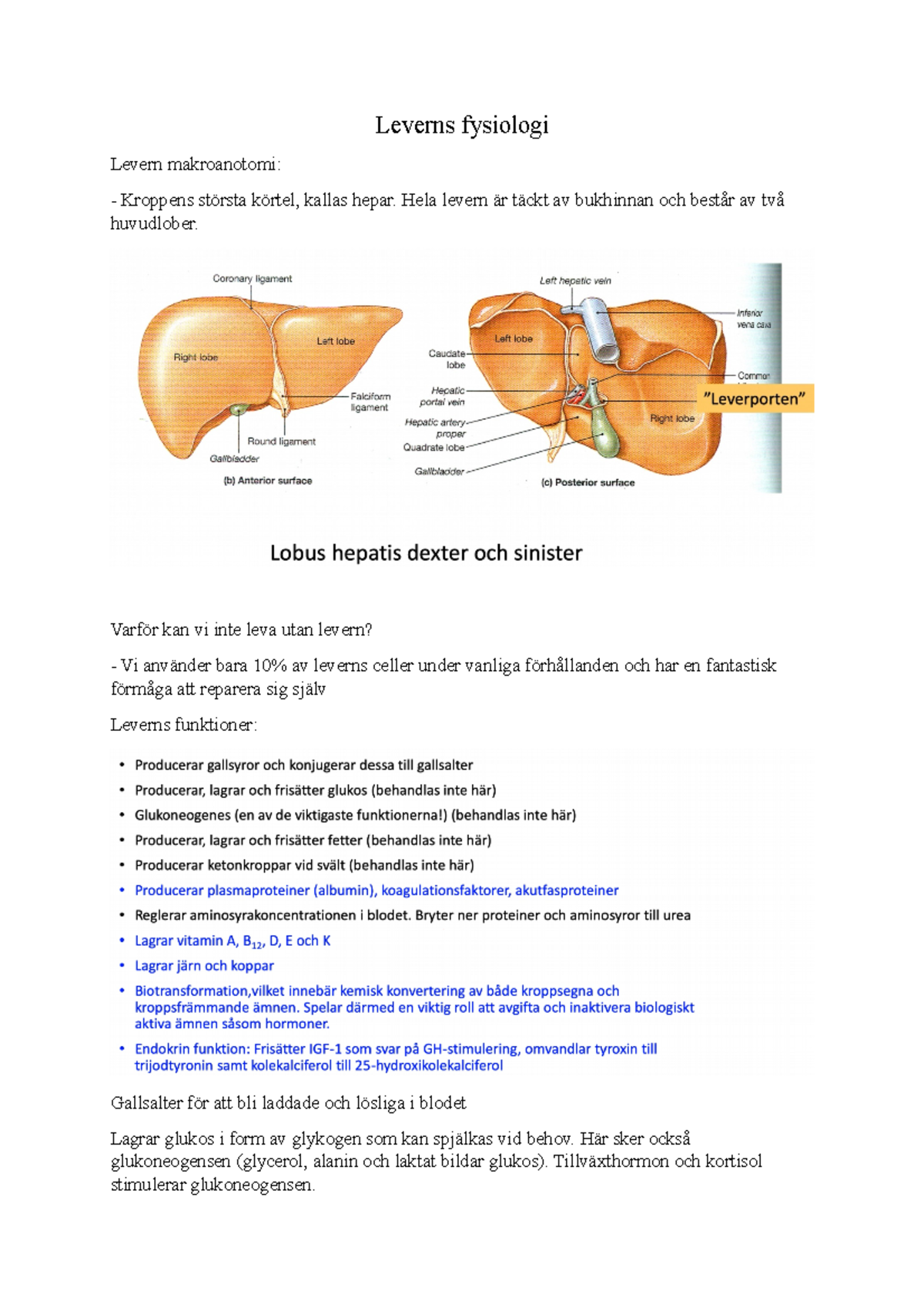 Levers Fysiologi Leverns Fysiologi Levern Makroanotomi Kroppens Största Körtel Kallas Hepar