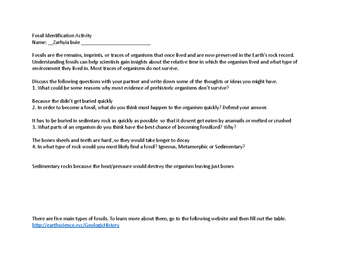 Fossil identification lab Fossil Identification Activity Name