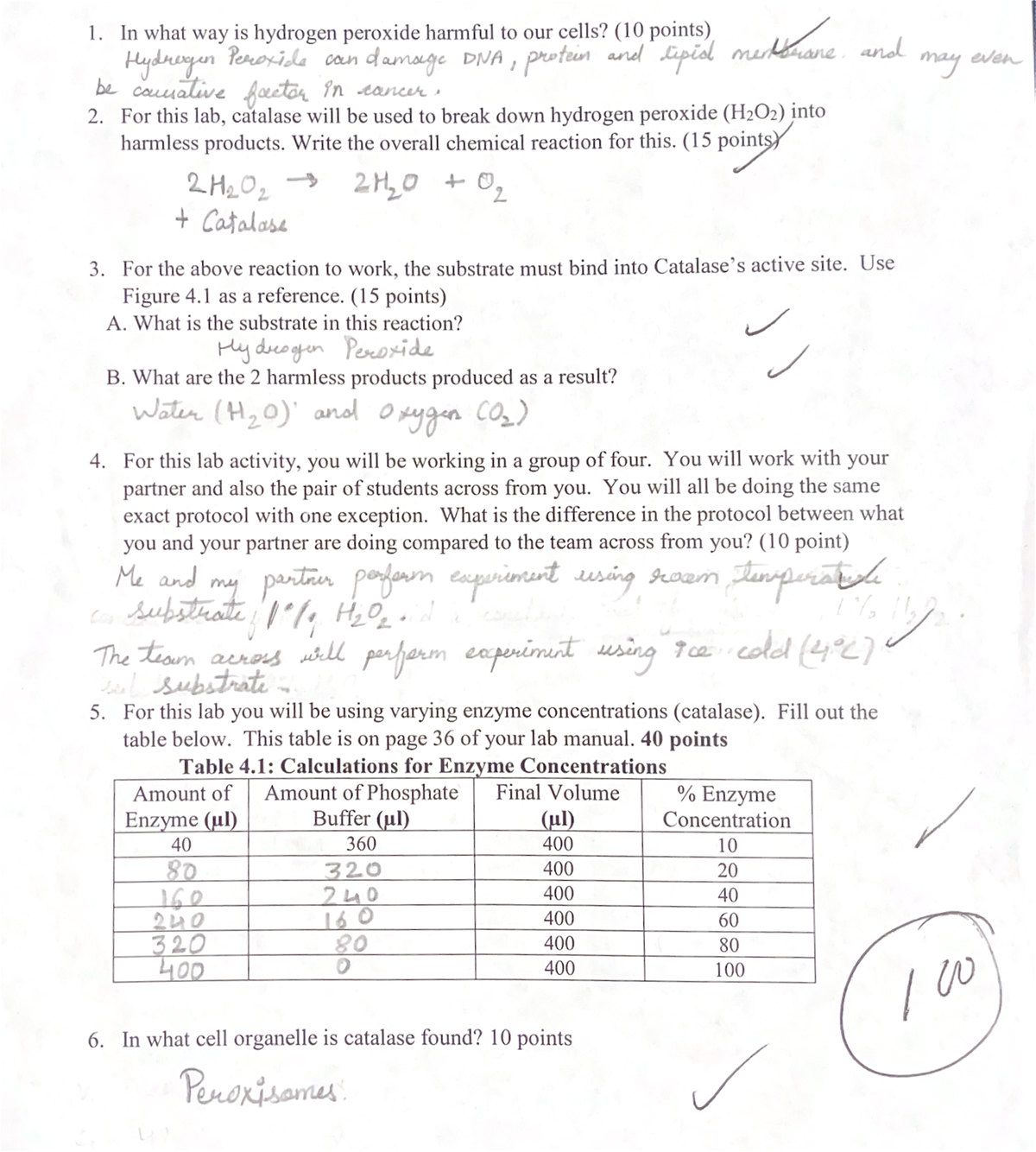 catalase experiment data answers