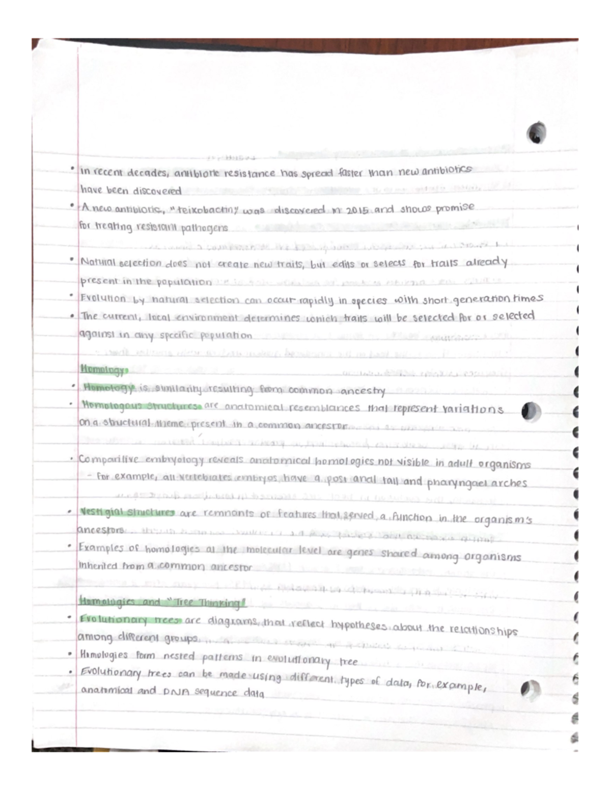 Biology 1 - Descent With Modification Part 3 - BIO 1134 - Studocu