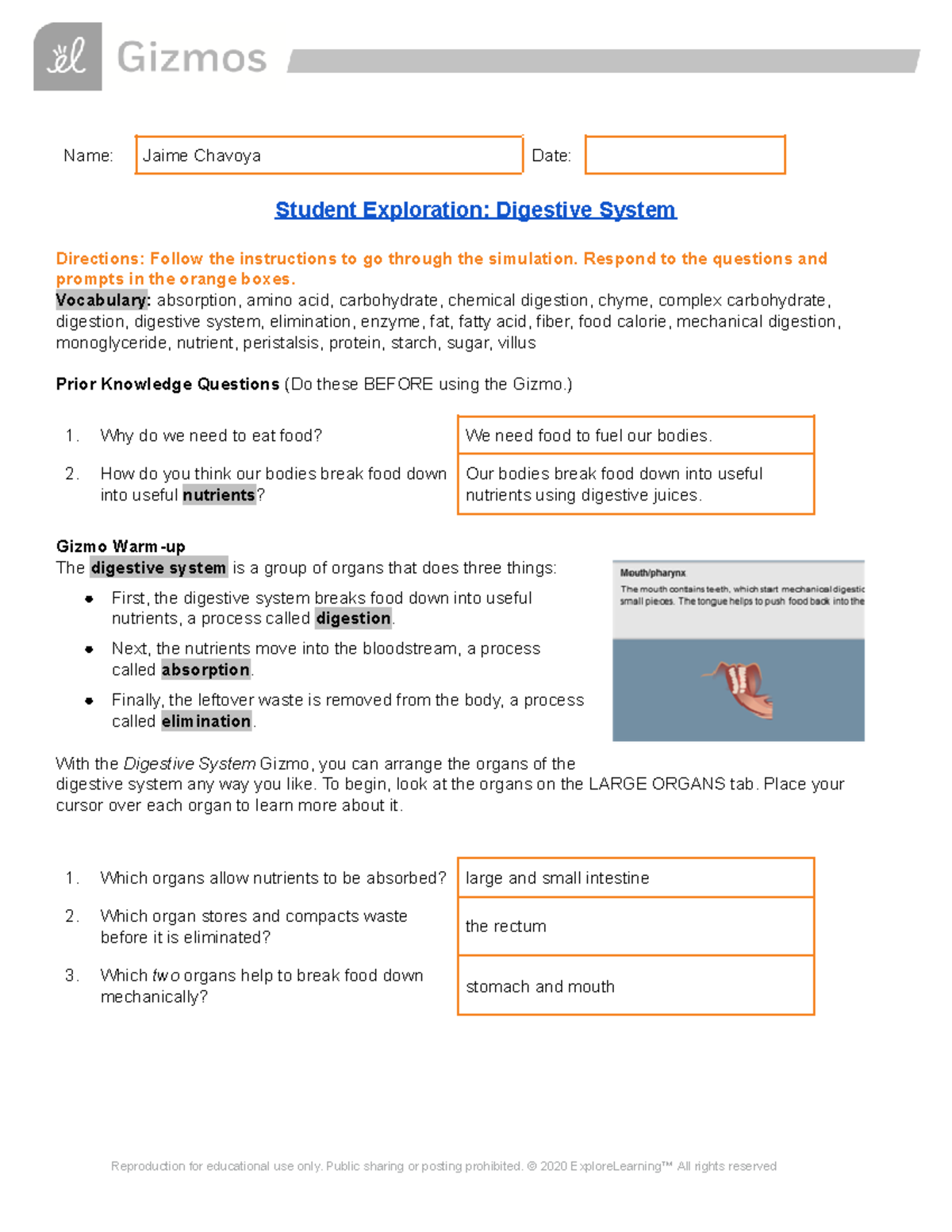 Copy of Copy of Digestive System SE - Name: Jaime Chavoya Date: Student ...