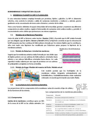 Biomembranas Y Arquitectura Celular - BIOMEMBRANAS Y ARQUITECTURA CELULAR  1. MEMBRANA PLASMÁTICA - Studocu