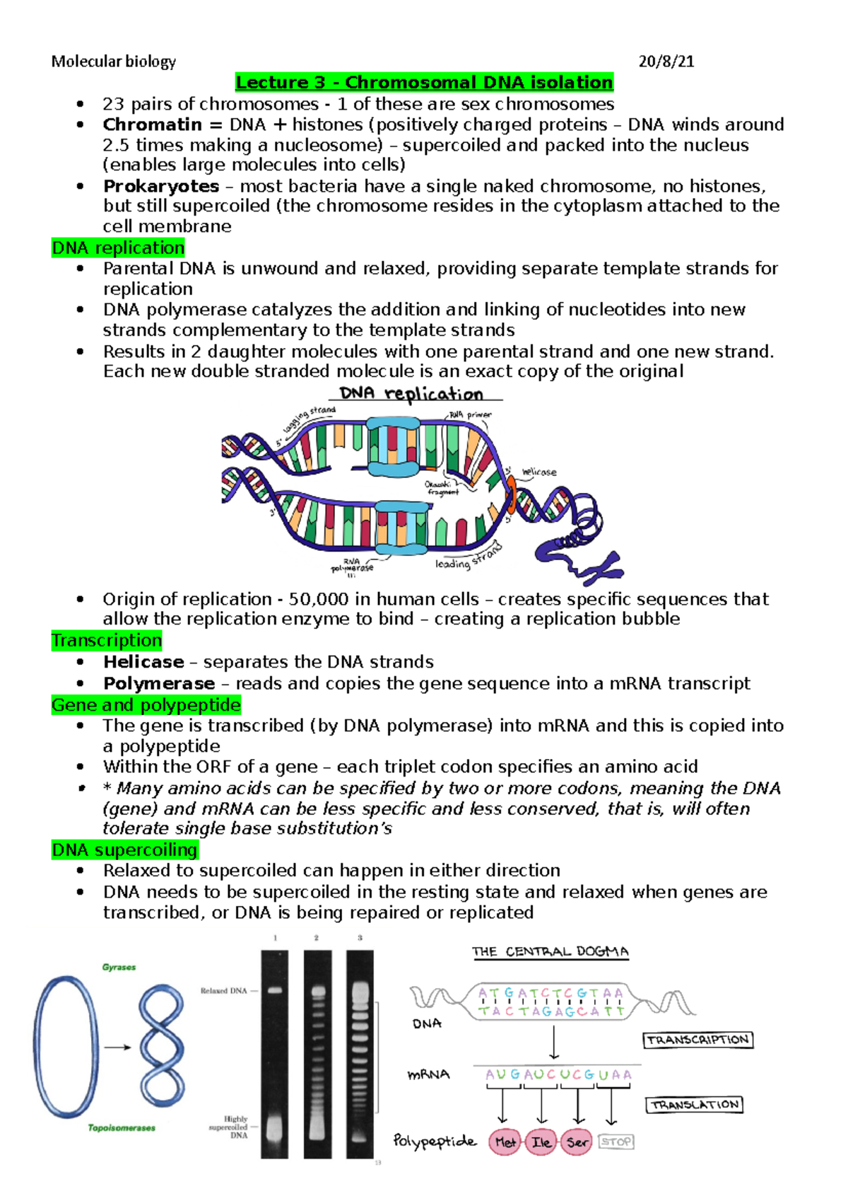 Lecture 3 - Chromosomal DNA isolation - Lecture 3 - Chromosomal DNA ...