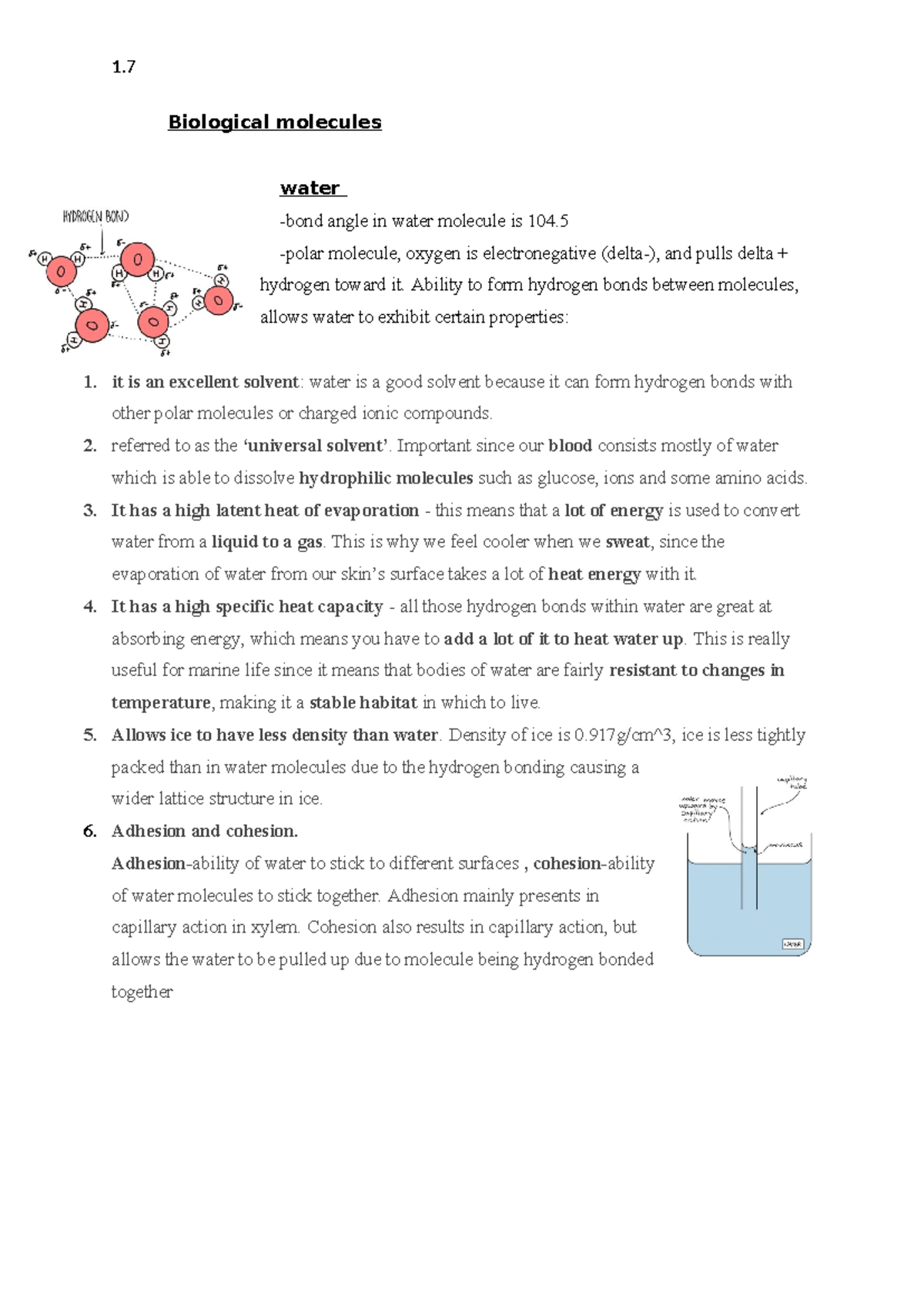 Water 1 - 1. Biological molecules water -bond angle in water molecule ...