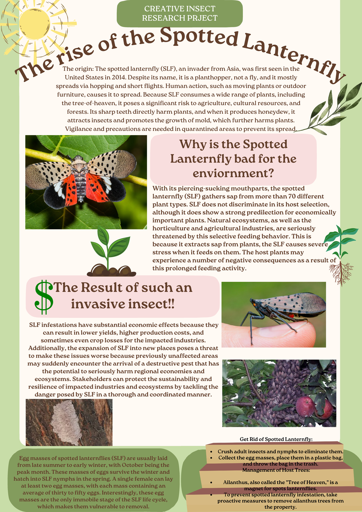 Insect Research Project - The Result of such an invasive insect!! Why ...