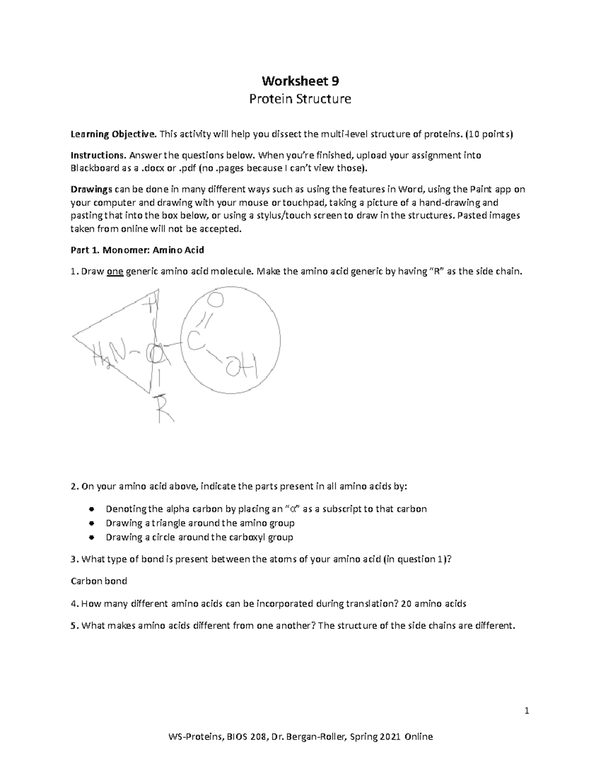 Worksheet 9-Protein structure - Worksheet 9 Protein Structure Learning  Objective. This activity will - Studocu