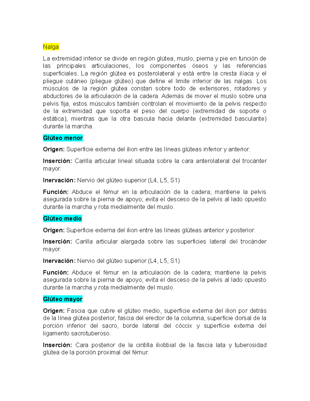 Anatomía. Región glútea - Nalga La extremidad inferior se divide en