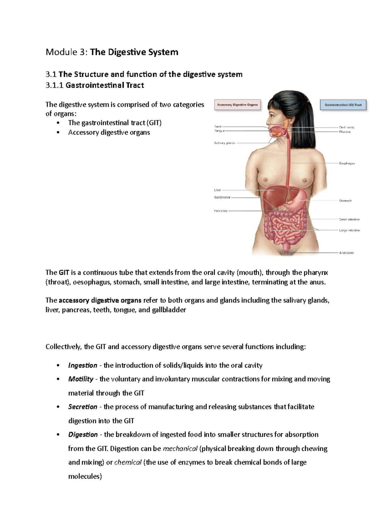 Anatomy week 6 content - Module 3: The Digestive System 3 The Structure ...
