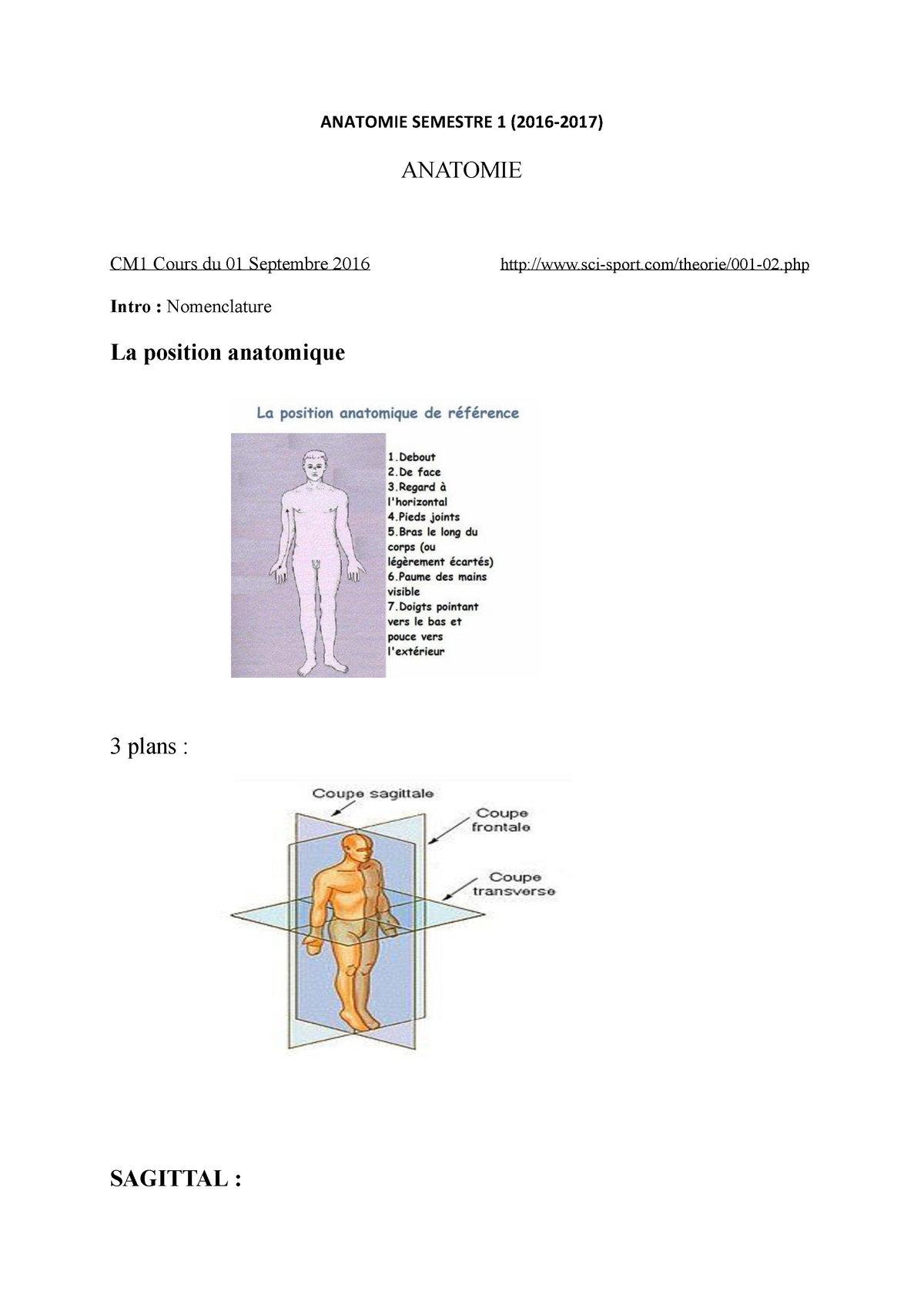 Anatomie Semestre 1 Staps - Warning: TT: Undefined Function: 32 ...