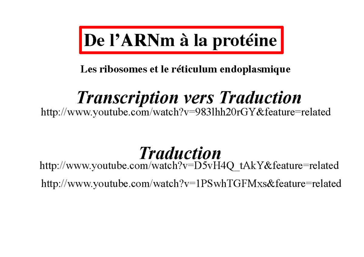 4-de-l-arnm-la-prot-ine-le-rer-youtube-watch-v-983lhh20rgy-feature