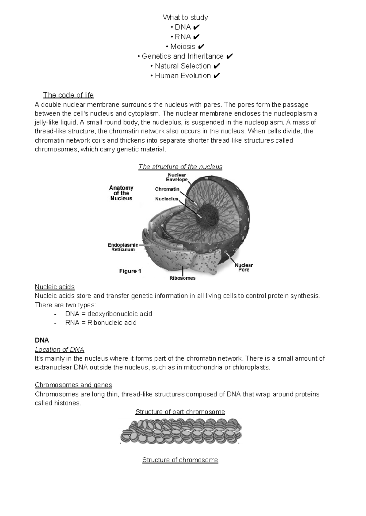 Life science prelims 2 Light - What to study DNA RNA Meiosis Genetics ...
