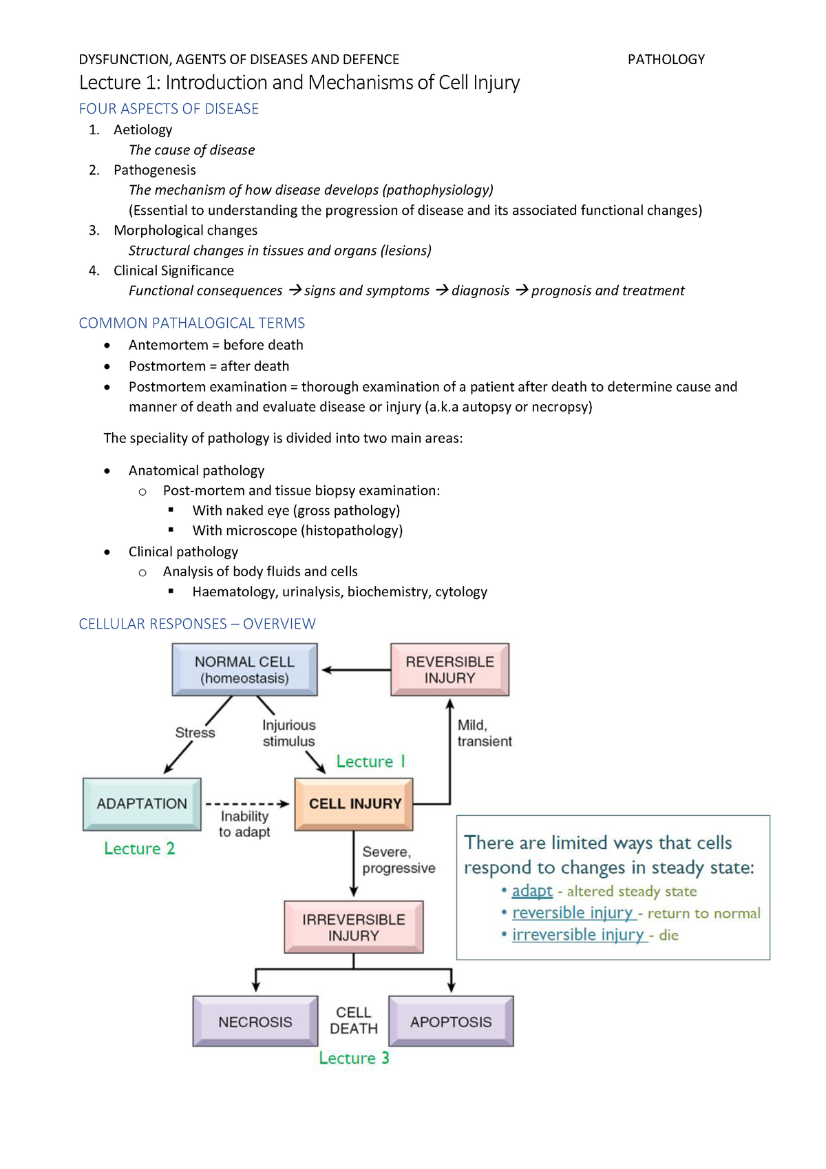 Pathology Lecture Notes - Lecture 1: Introduction And Mechanisms Of ...