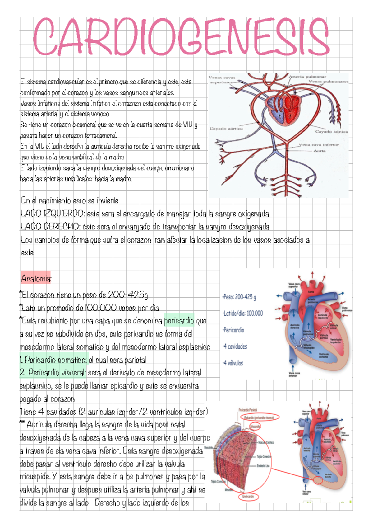 Cardiogenesis - CARDIOGENESIS El sistema cardiovascular es el primero ...