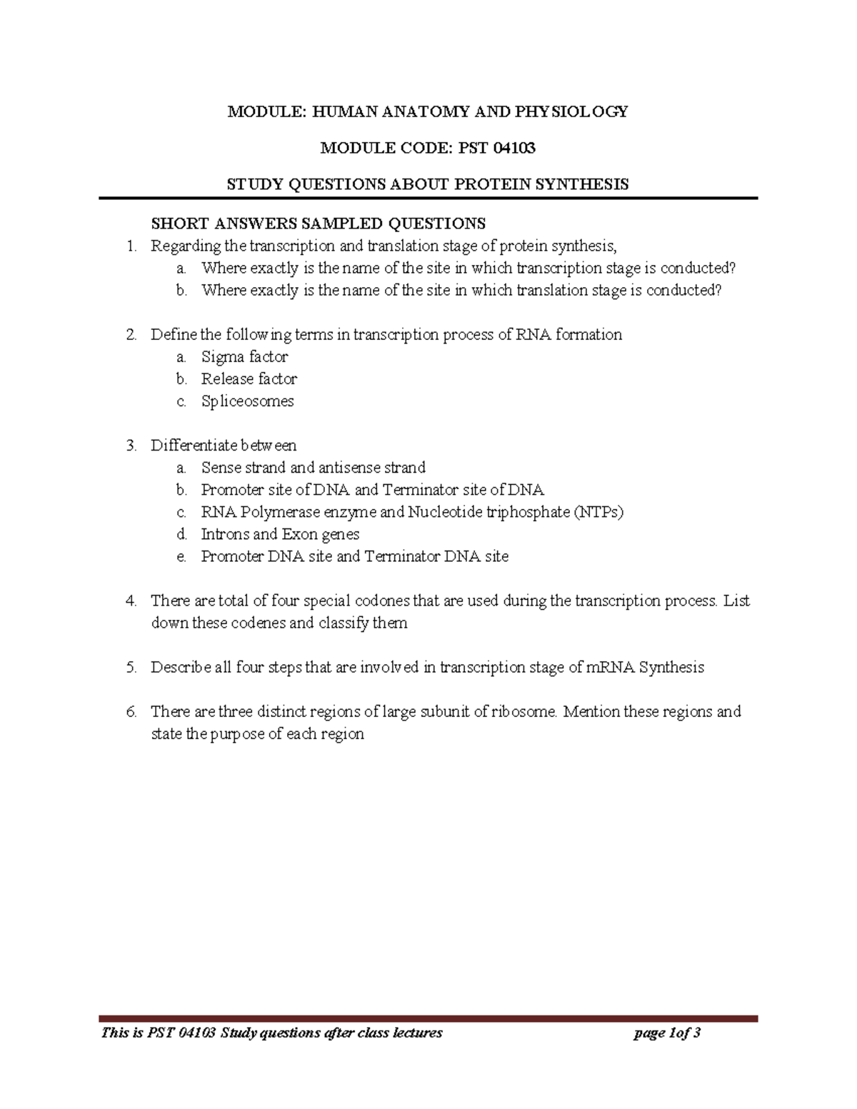 Study Questions Protein synthesis MODULE HUMAN ANATOMY AND