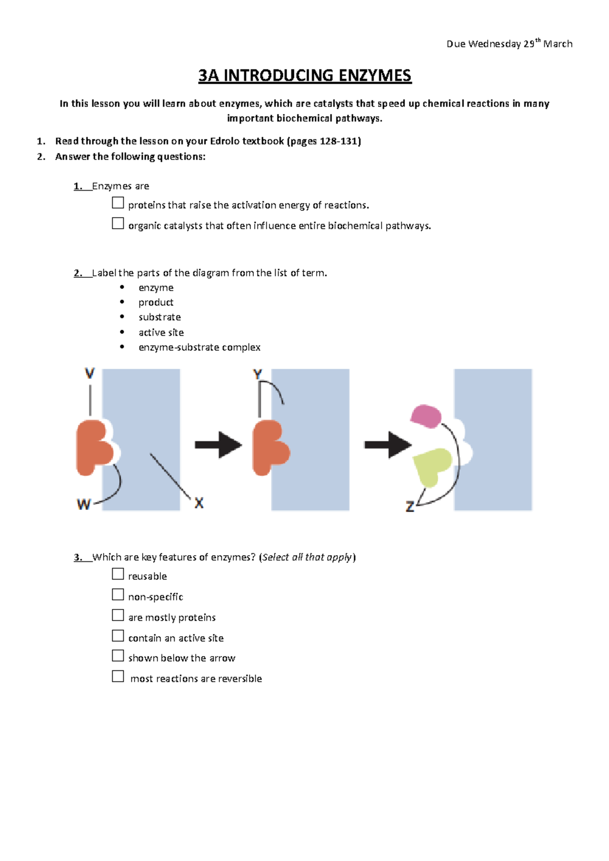 1. Pre-lesson work - Due Wednesday 29th March 3A INTRODUCING ENZYMES In ...