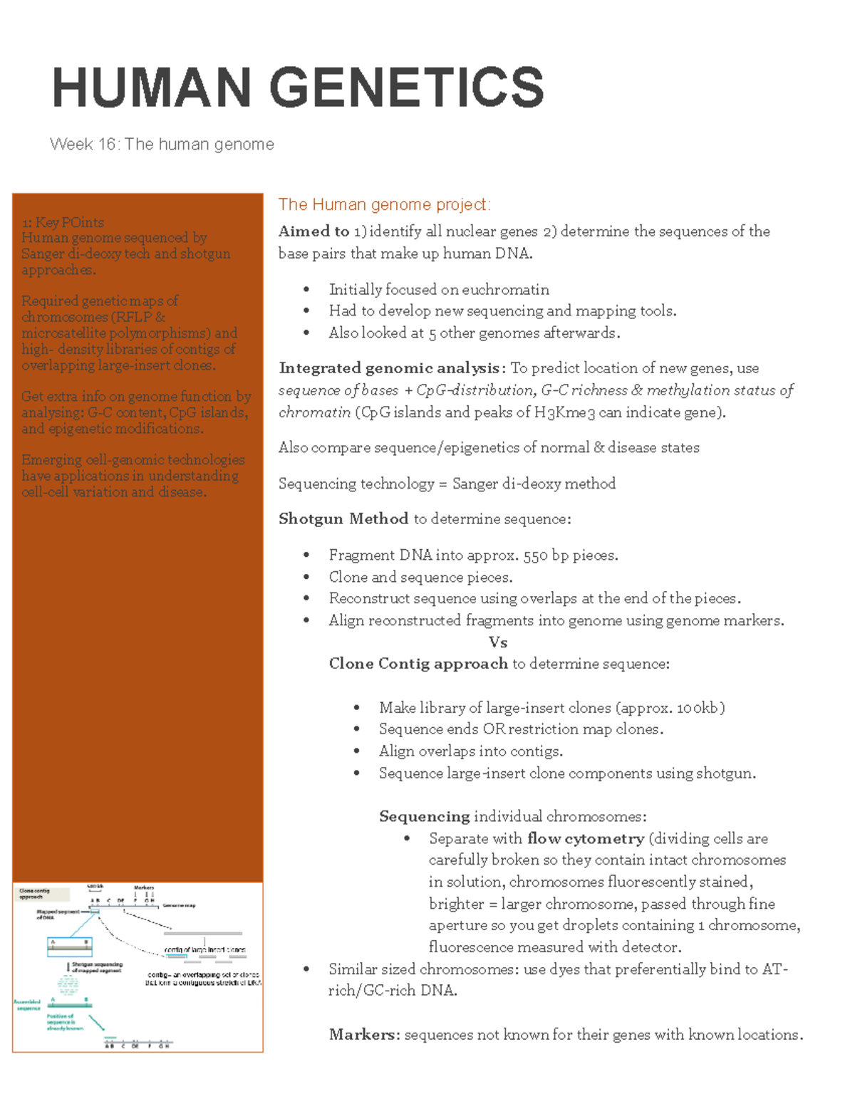 The Human Genome Summary Human Genetics Week 16 The Human Genome The Human Genome Project 7044