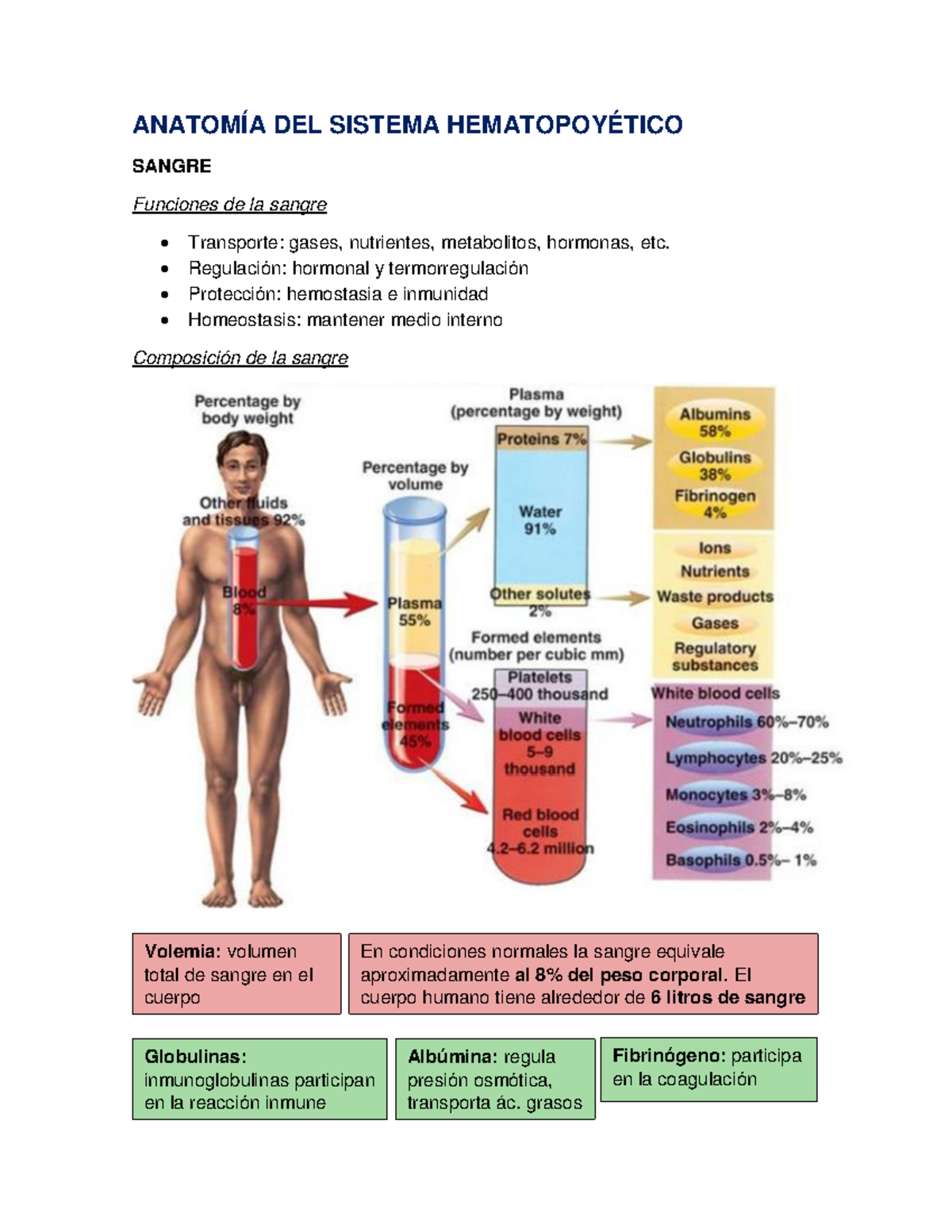 GUIA- Hematopoyetico para finales, células - ANATOMÍA DEL SISTEMA ...