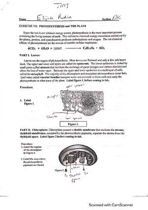 Lab08-Revised-Class - its mostly correct - lab08-Revised-Class November ...