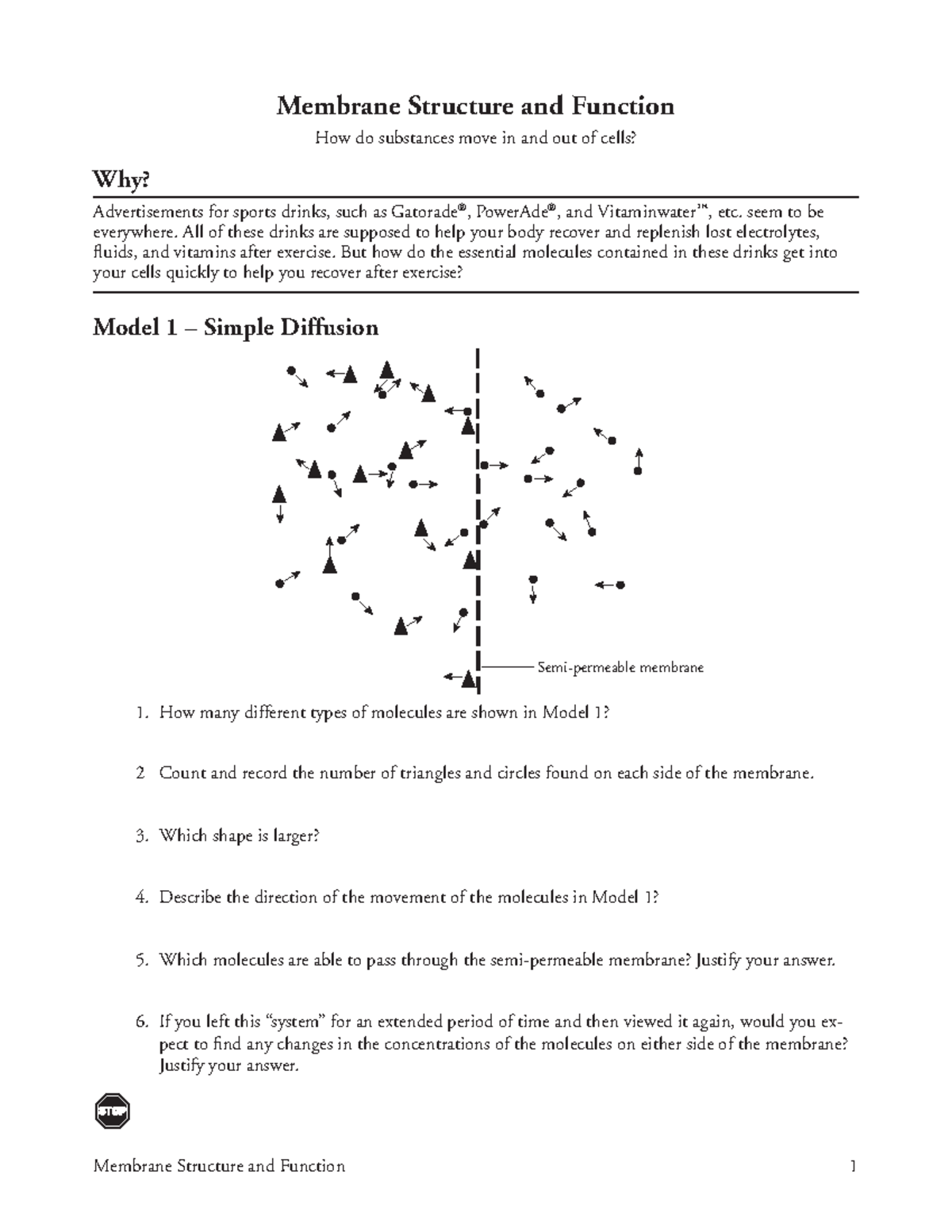 10-membrane-structure-and-function-s-seem-to-be-everywhere-all-of