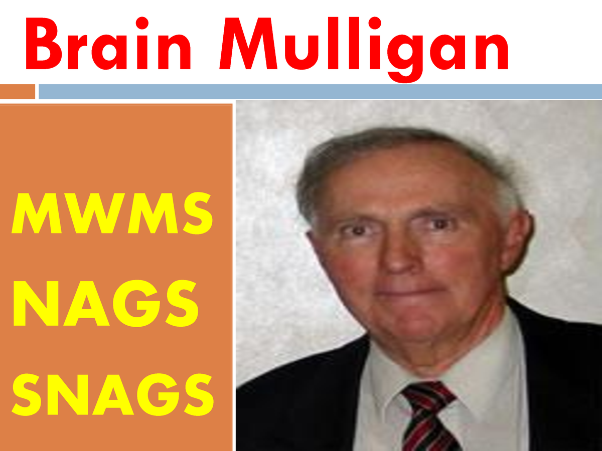 Mulligan MWM - Informative - Brain Mulligan MWMS NAGS SNAGS Brain ...