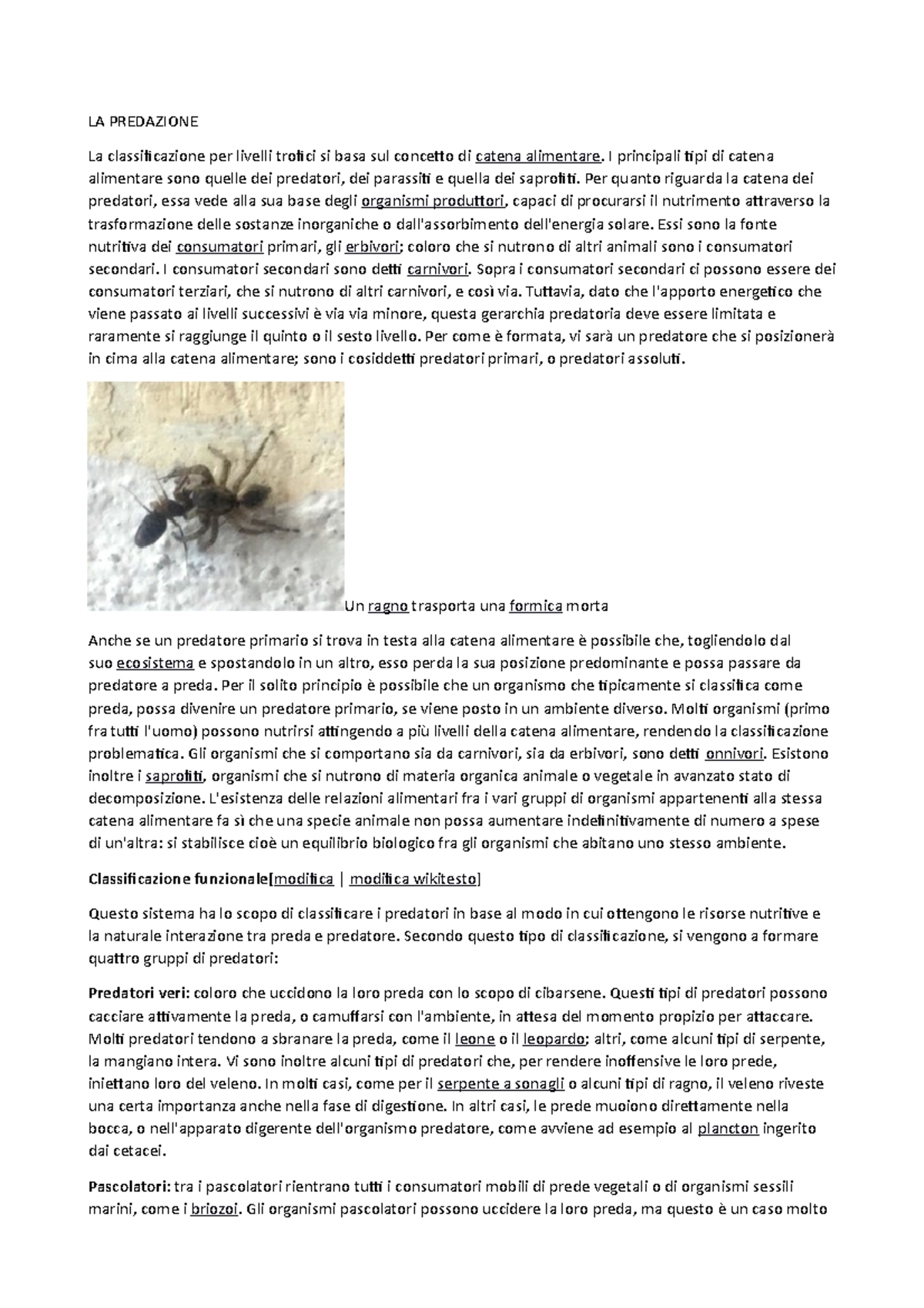 Predazione - LA PREDAZIONE La classificazione per livelli trofici si ...