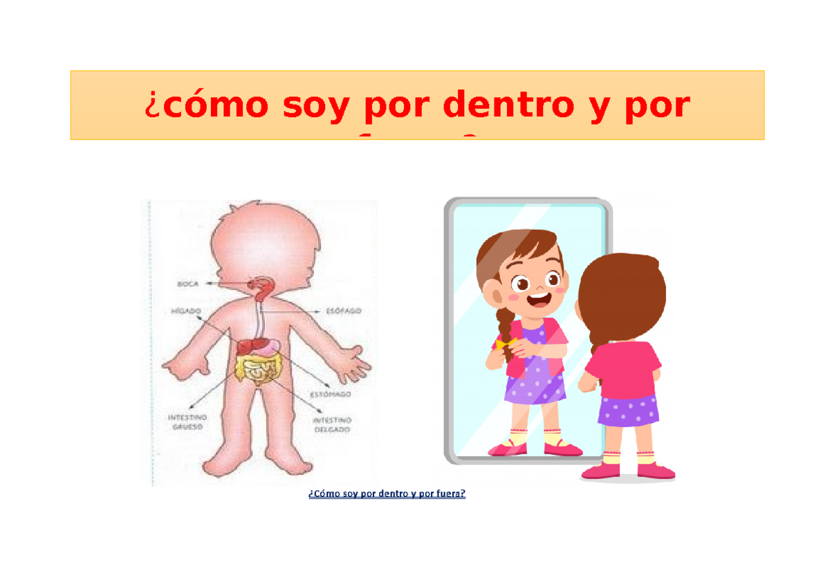 Como Soy Por Dentro Y Por Fuera