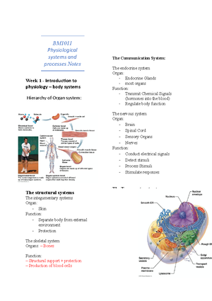 BM1011 Nervous System And Homeostasis - Nervous System & Homeostasis ...