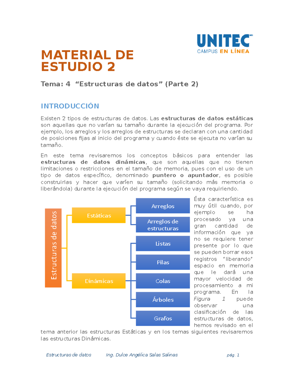 Material de estudio 2 Bacon ipsum dolor amet spare ribs biltong strip steak tbone, pig beef