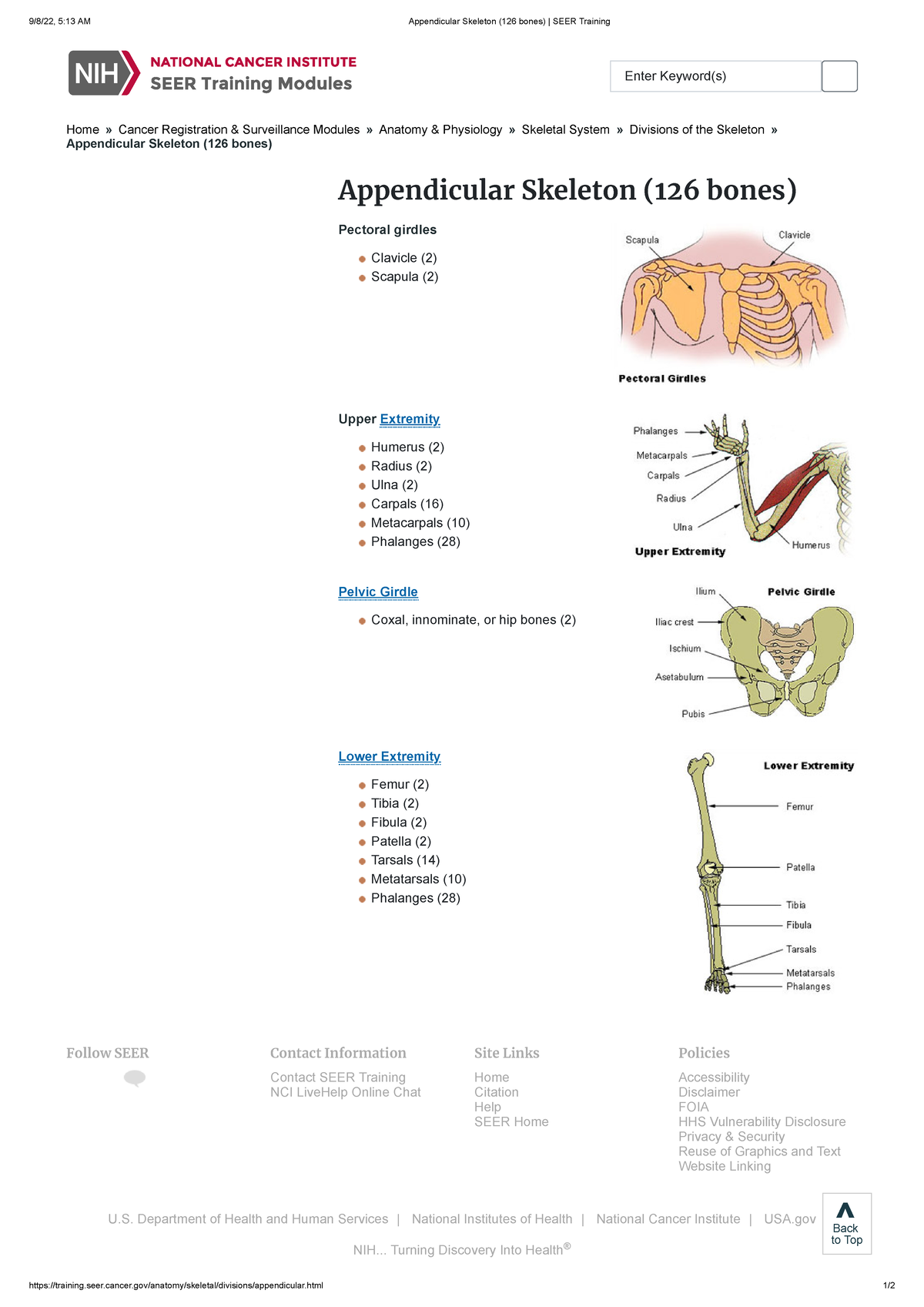 SEER Training: Appendicular Skeleton (126 bones)