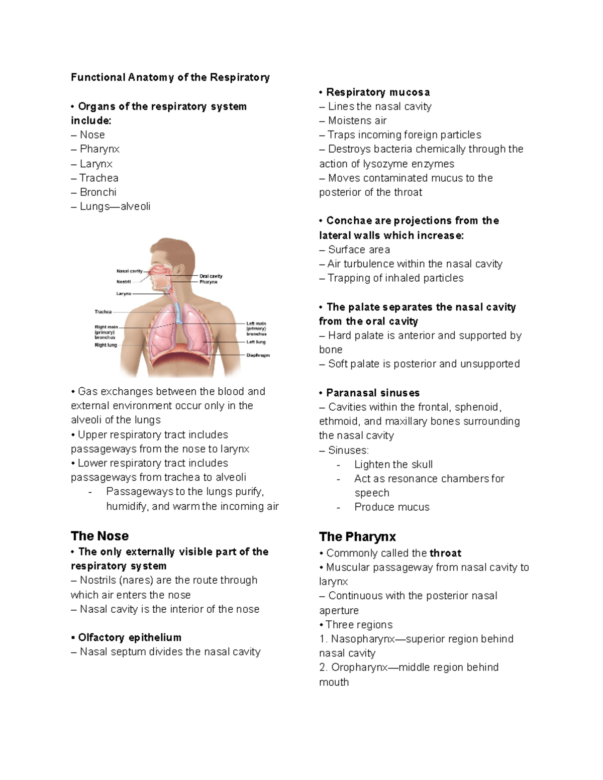 Functional Anatomy of the Respiratory - Nasopharynx—superior region ...