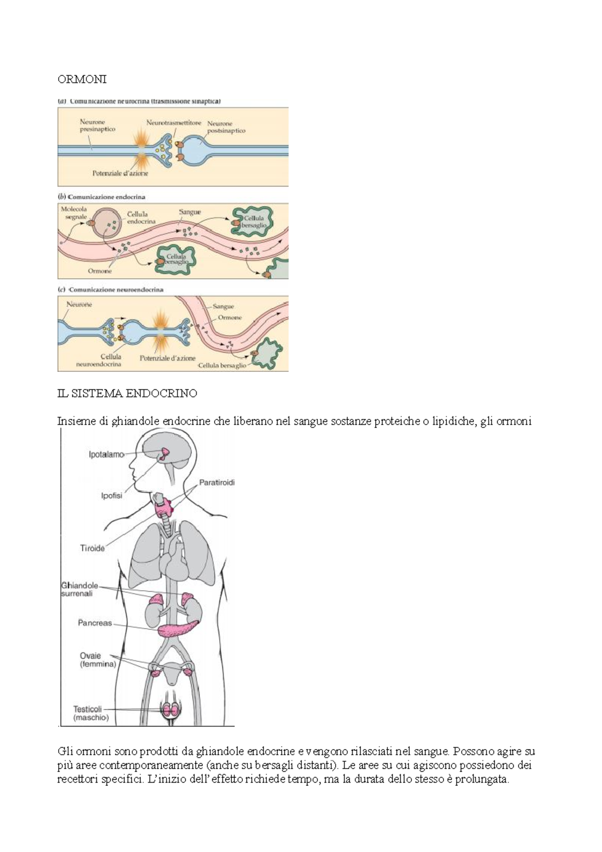 10. Ormoni - ORMONI IL SISTEMA ENDOCRINO Insieme di ghiandole endocrine ...