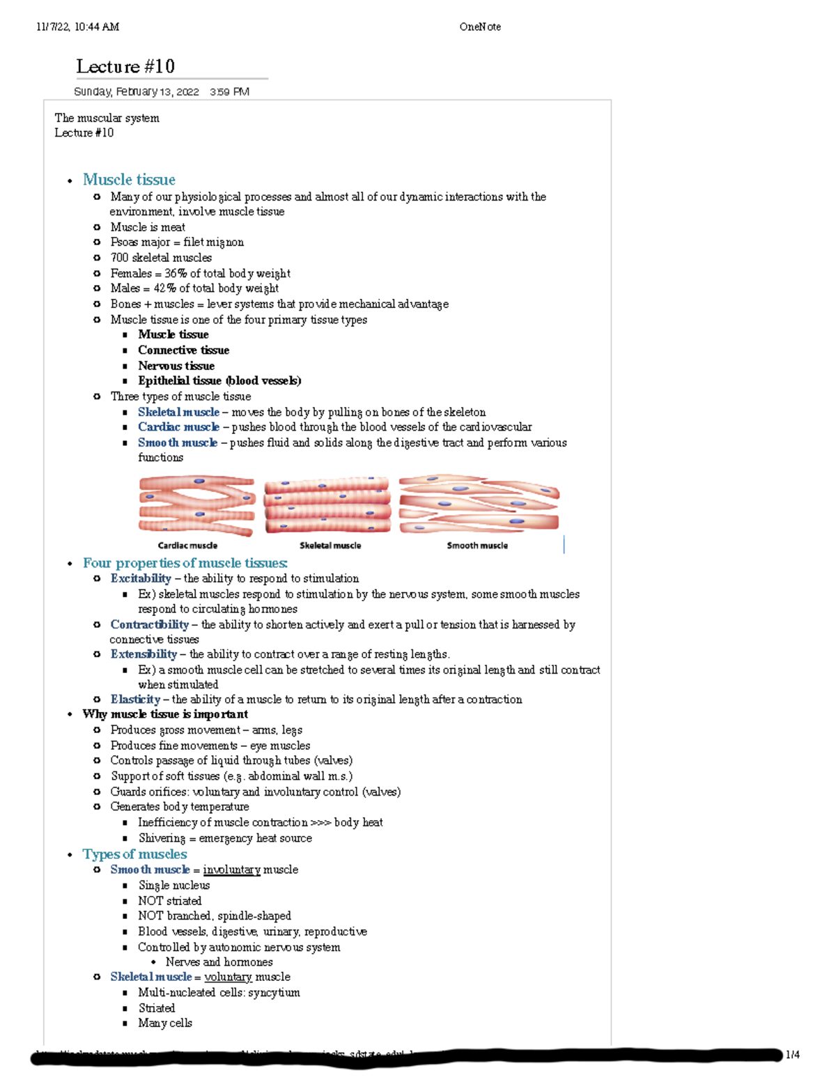 Anatomy Lecture 10 Notes - Lecture Sunday, February 13, 2022 3:59 PM ...