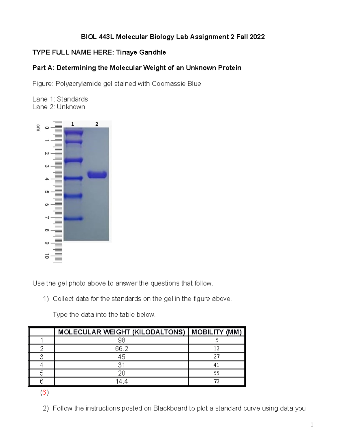Assignment 2 Graphing Protein and DNA standard curve 09082022