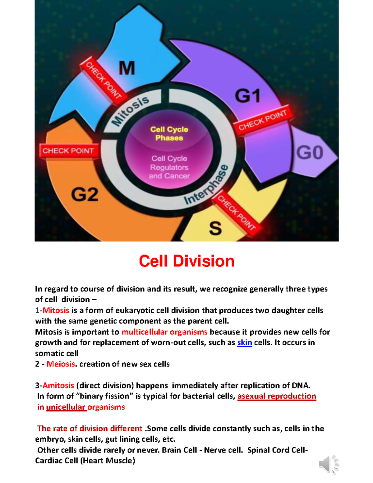 Cell cycle - Medical Biology - Cell Division In regard to course of ...