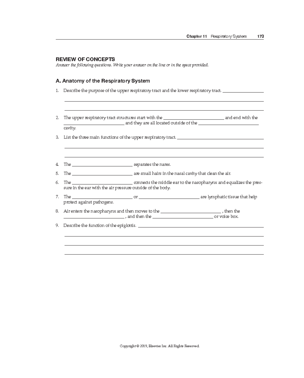 MAH101D-O ROW 2 Chapter 11-1 - REVIEW OF CONCEPTS Answer the following ...