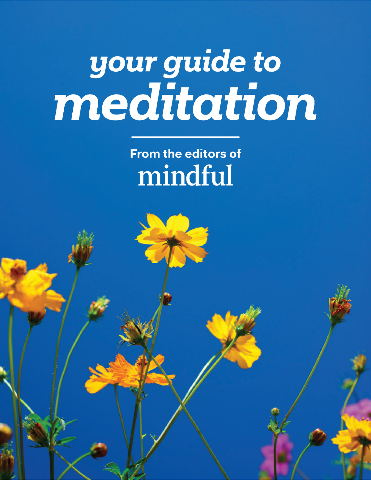 08-your-guide-to-meditation-author-mindful-your-guide-to-meditation-from-the-editors