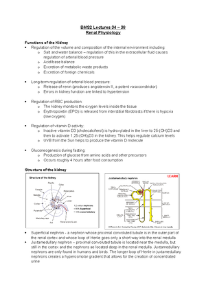 Renal Physiology