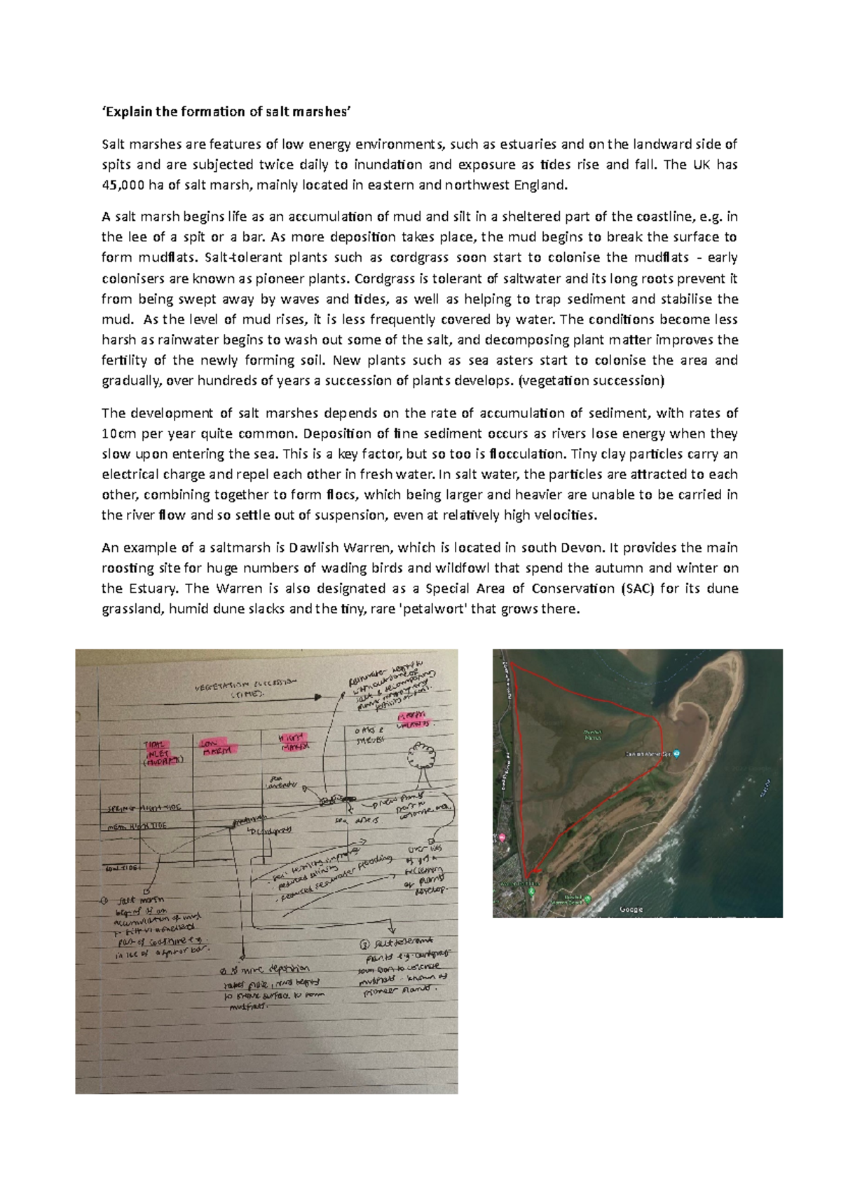 Salt Marshes - ocr - ‘Explain the formation of salt marshes’ Salt ...